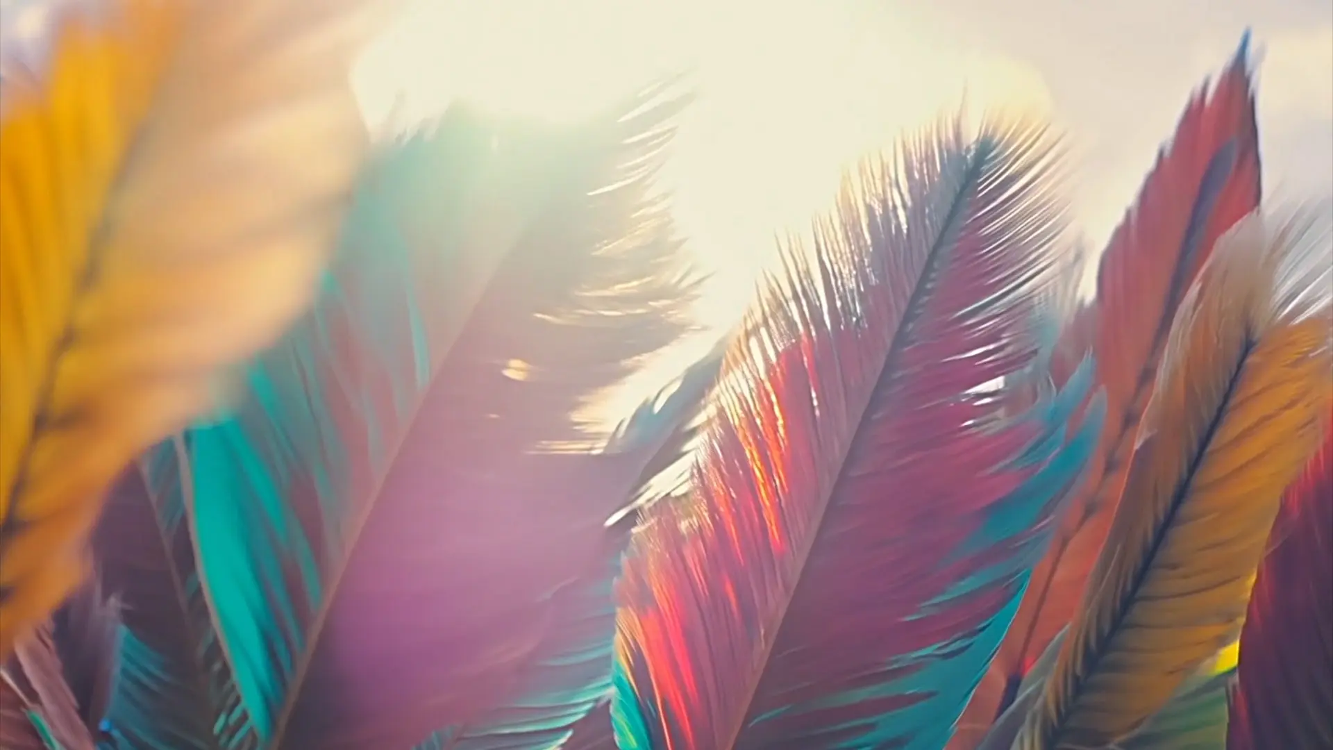 Feathered Waves Dynamic Background for Title Animation